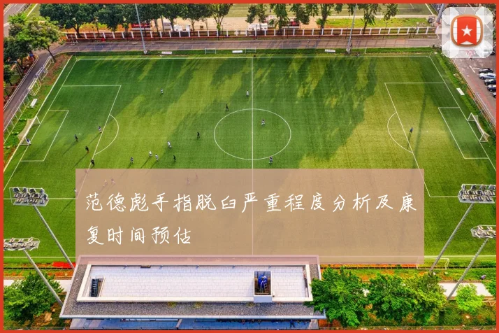范德彪手指脱臼严重程度分析及康复时间预估
